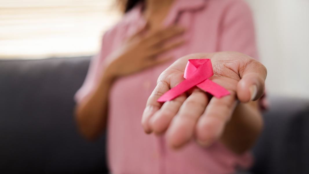 prefeitura-de-boa-vista-do-sul-promove-palestra-em-alusao-ao-outubro-rosa